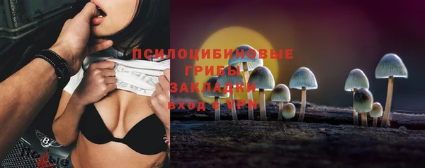 МДПВ Абаза